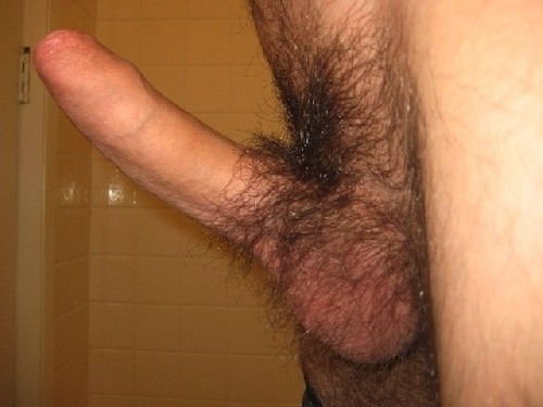 Hairy Cock Porn 81